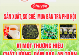 HỘ KINH DOANH PHÚC BẢO - TRÀ PHÚ HỘI