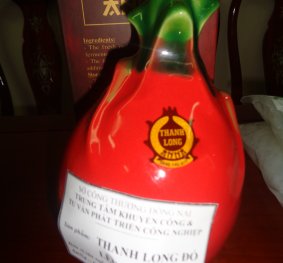 THANH LONG ĐỎ LÊN MEN - CƠ SỞ VANG THANH LONG ANNA