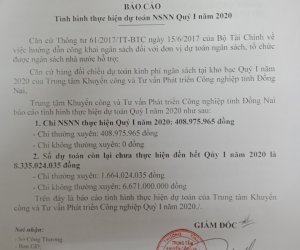 Báo cáo tình hình thực hiện dự toán ngân sách nhà nước quý I năm 2020
