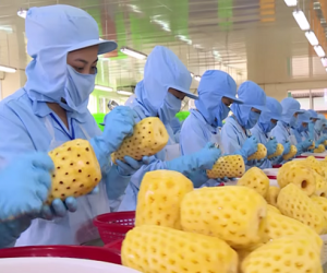 Mô hình sản xuất nông thôn giá trị cao từ phụ phẩm của ngành công  nghiệp chế biến