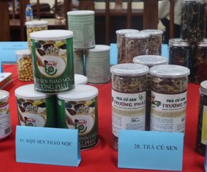 SEN TRƯỜNG PHÁT ĐÁNH THỨC TIỀM NĂNG CÂY SEN TRÊN ĐẤT NHƠN TRẠCH