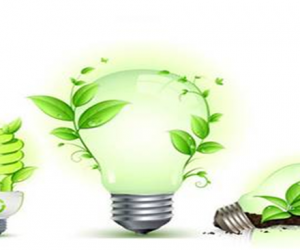 Chương trình quốc gia về sử dụng năng lượng  tiết kiệm và hiệu quả giai đoạn 2019 – 2030
