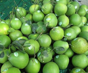 Thêm 26 sản phẩm OCOP đợt 1 năm 2021