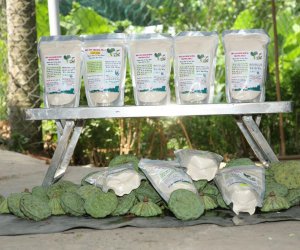 Sản phẩm Bột sen dinh dưỡng  -  Cơ sở chế biến hạt sen Trường Phát
