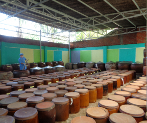 Cơ sở công nghiệp nông thôn trên địa bàn Long Khánh phát triển bền vững khi chú trọng sức khỏe người tiêu dùng