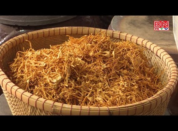 Tình hình Phát triển cơ sở công nghiệp nông thôn trên địa bàn huyện Nhơn Trạch